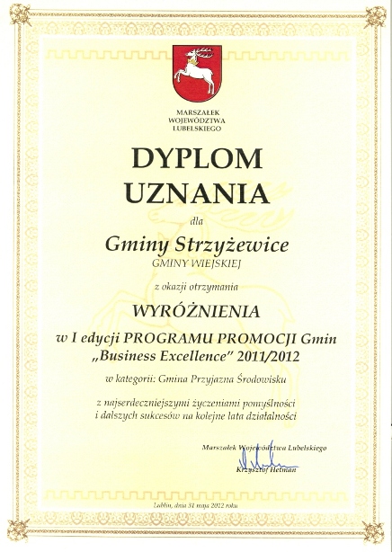 Dyplom - I edycja Programu Promocji Gmin Business Excellence